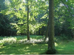 76 Hidden Valley Road Pownal, VT 05261 - Photo 10 of 12