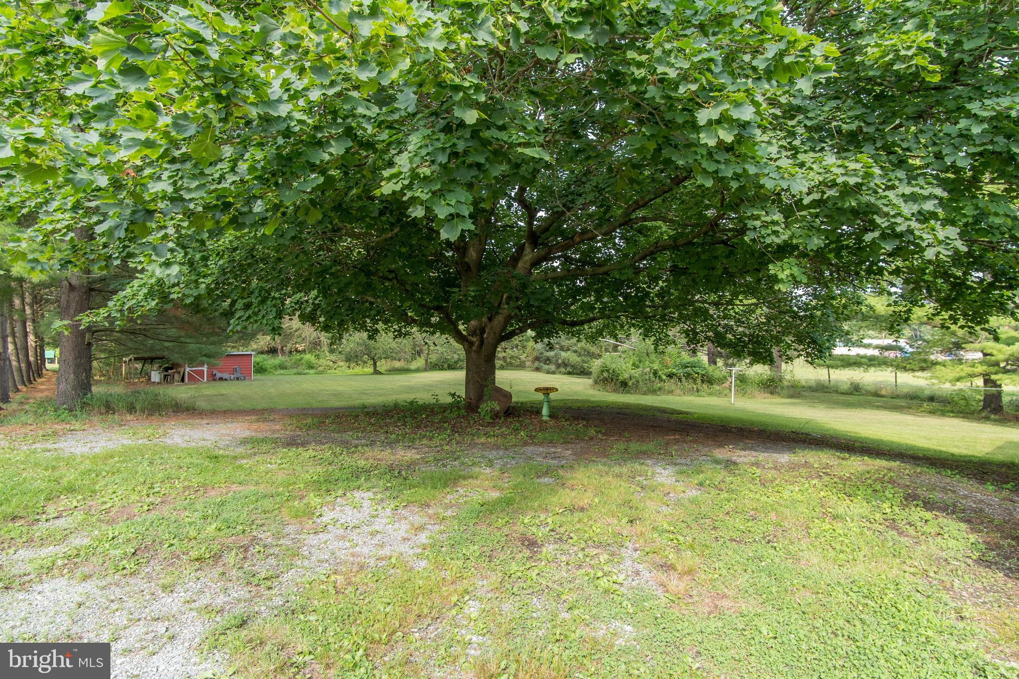 13348 Greensburg Road Smithsburg, MD 21783 - Photo 31 of 39 Flat yard