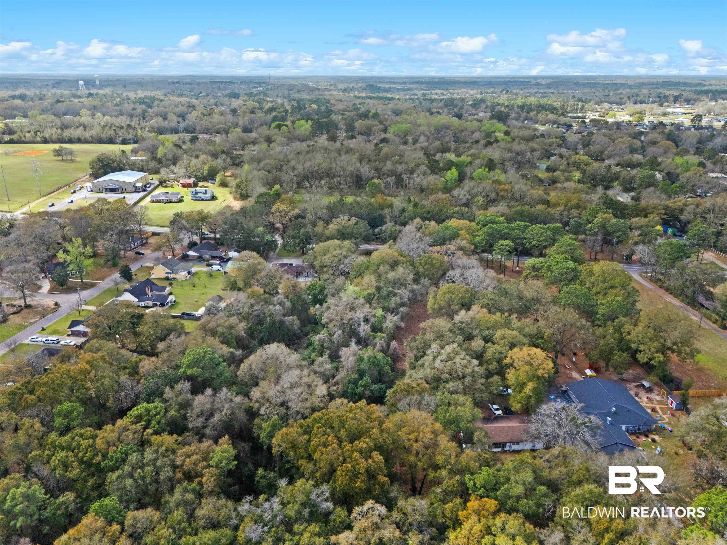 Bird's eye view of a forest