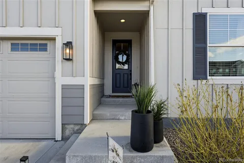 a potted plant sitting in front of a door