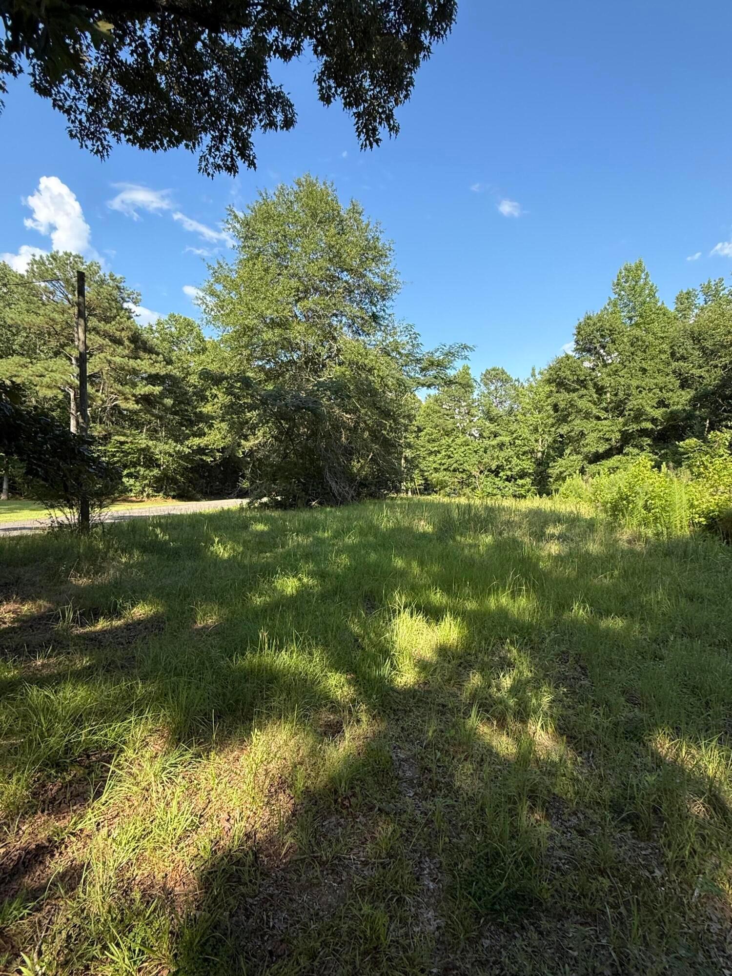 1529 Cheatham Road Carbon Hill, AL 35549 - Photo 4 of 7 Gallery Image 4