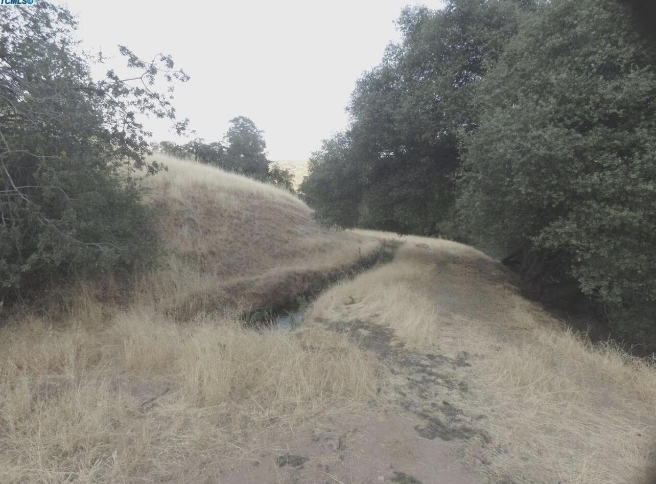 0 Highway 190 Springville, CA 93265 - Photo 5 of 11 IMG_4414