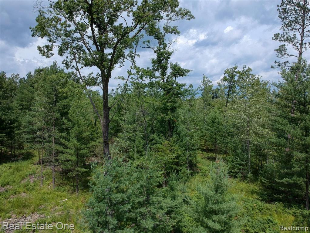 0 South Morrison Road West Branch, MI 48661 - Photo 36 of 38