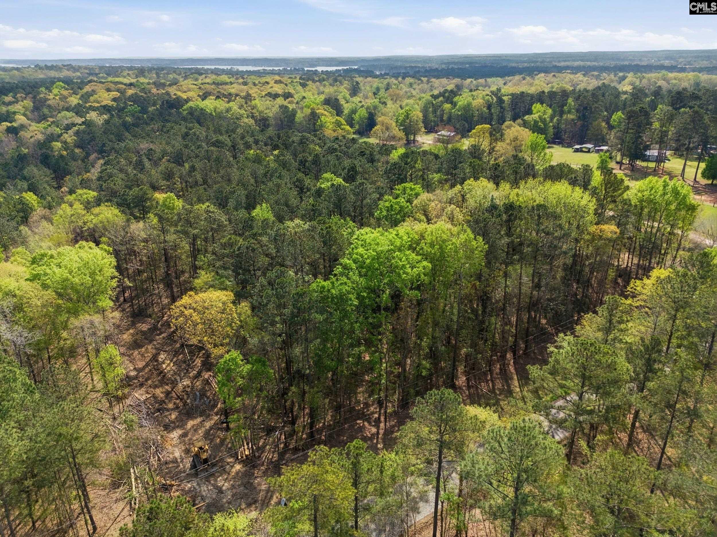 0 Wildwood Rd Extension Leesville, SC 29070 - Photo 8 of 16