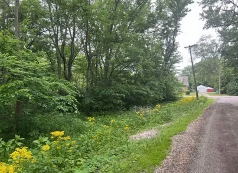 $22,500 | Lot 9-13 South Hickory Avenue, Wilmington, IL 60481