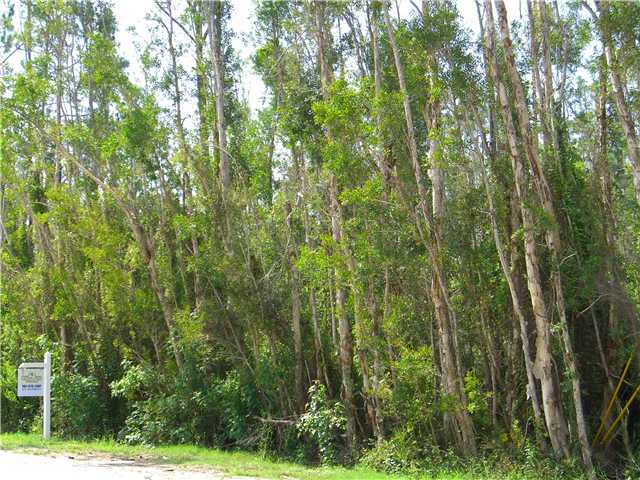 North 158th Street North Jupiter, FL 33478 - Photo 1 of 1 Primary Photo