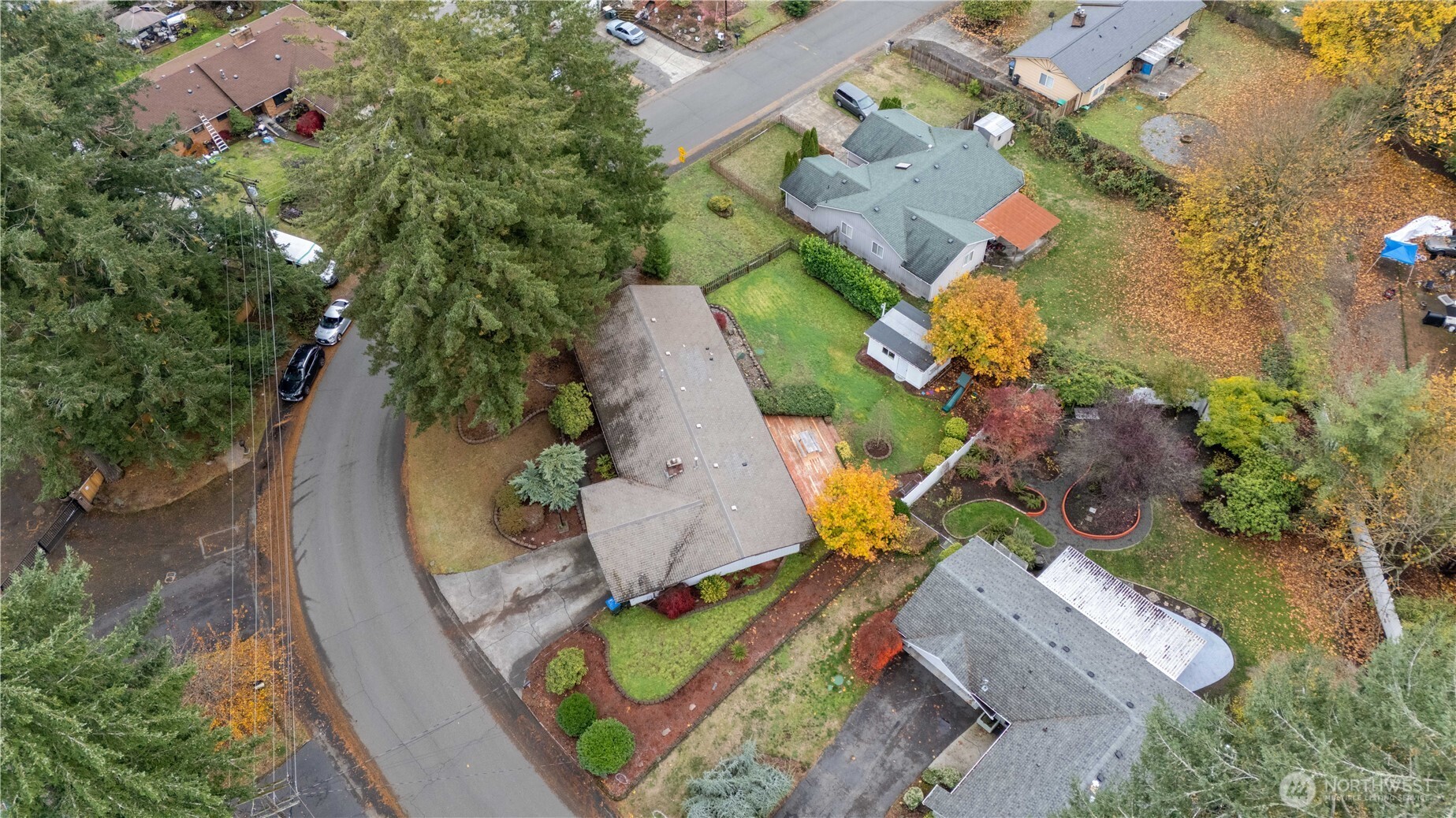 311 Ranger Drive Southeast Lacey, WA 98503 - Photo 34 of 35 an aerial view of a house with outdoor space and a swimming pool