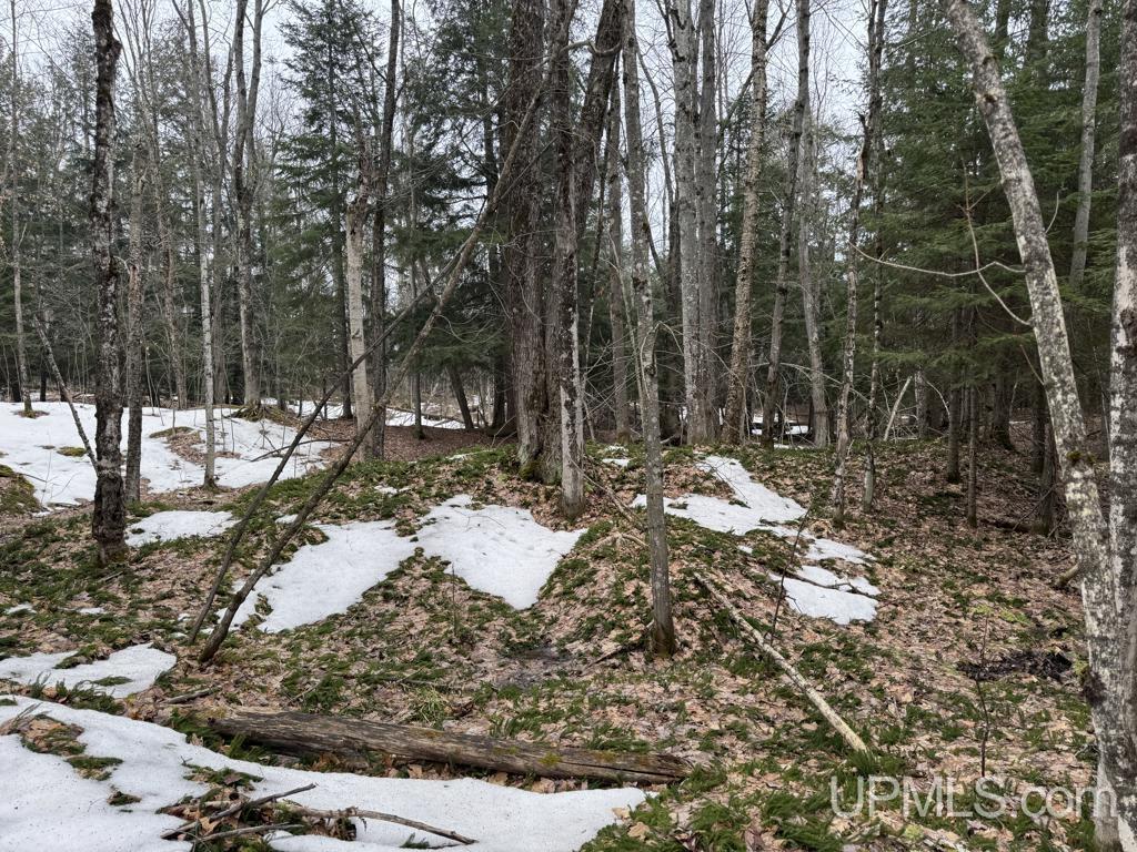 Tbd Waisanen Road Lanse, MI 49946 - Photo 12 of 12 Gallery Image 12