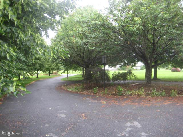 2880 Cox Neck Road Chester, MD 21619 - Photo 3 of 26 Exterior (General)