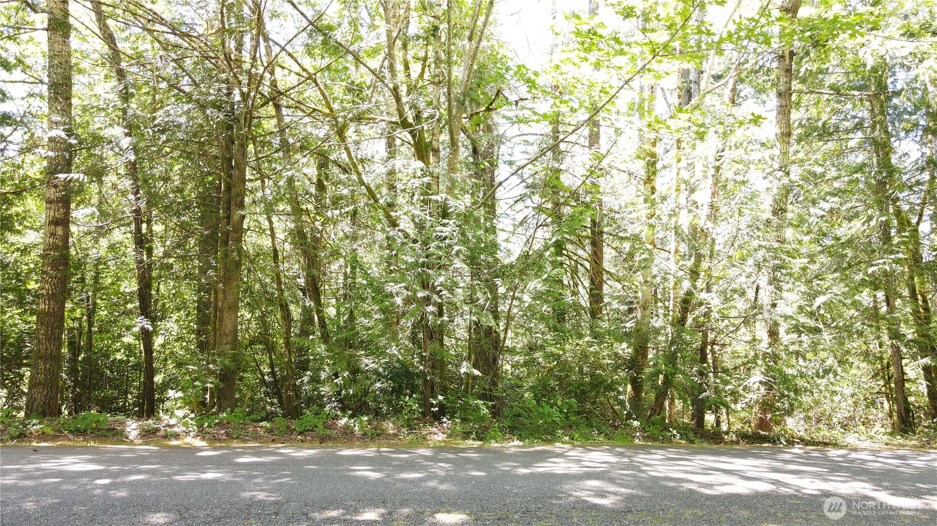 0 East Geist Point Road Shelton, WA 98584 - Photo 5 of 18