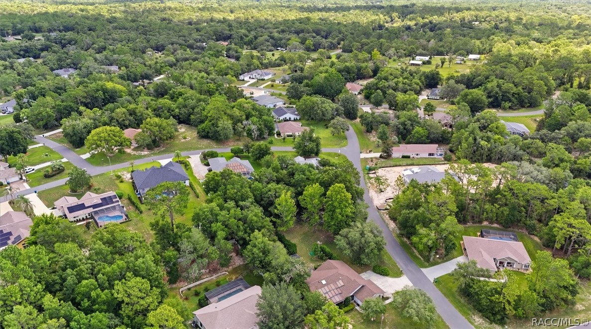 1886 East St James Loop Inverness, FL 34453 - Photo 43 of 45
