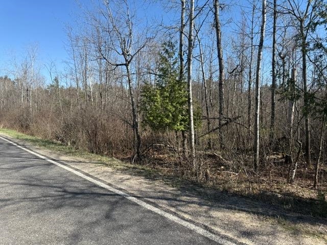 9 9 Mile Road Reed City, MI 49677 - Photo 2 of 6
