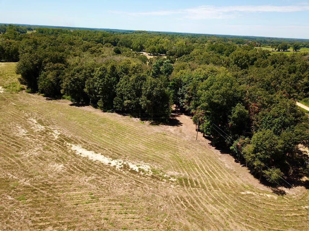Lot 7 Acres Grady Garner Road Slocomb, AL 36375 - Photo 33 of 58