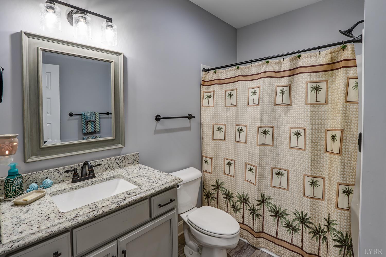1013 Cobblestone Lane Forest, VA 24551 - Photo 41 of 49 a bathroom with a granite countertop sink toilet a mirror a shower and a sink