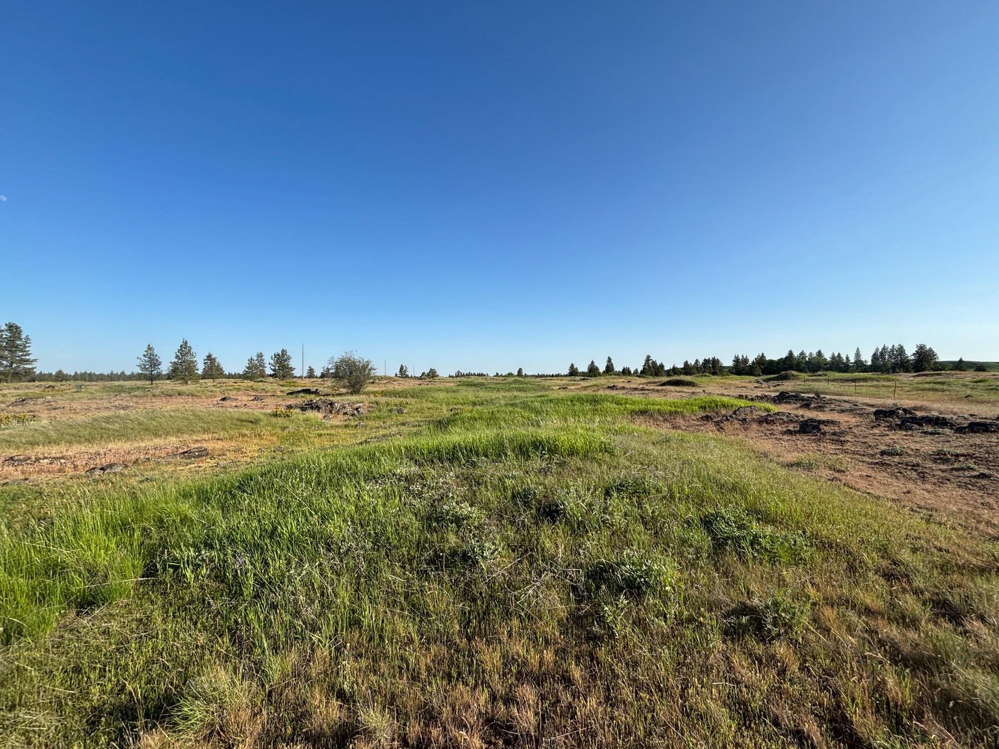 19456 South Harrison Road Edwall, WA 99008 - Photo 1 of 30