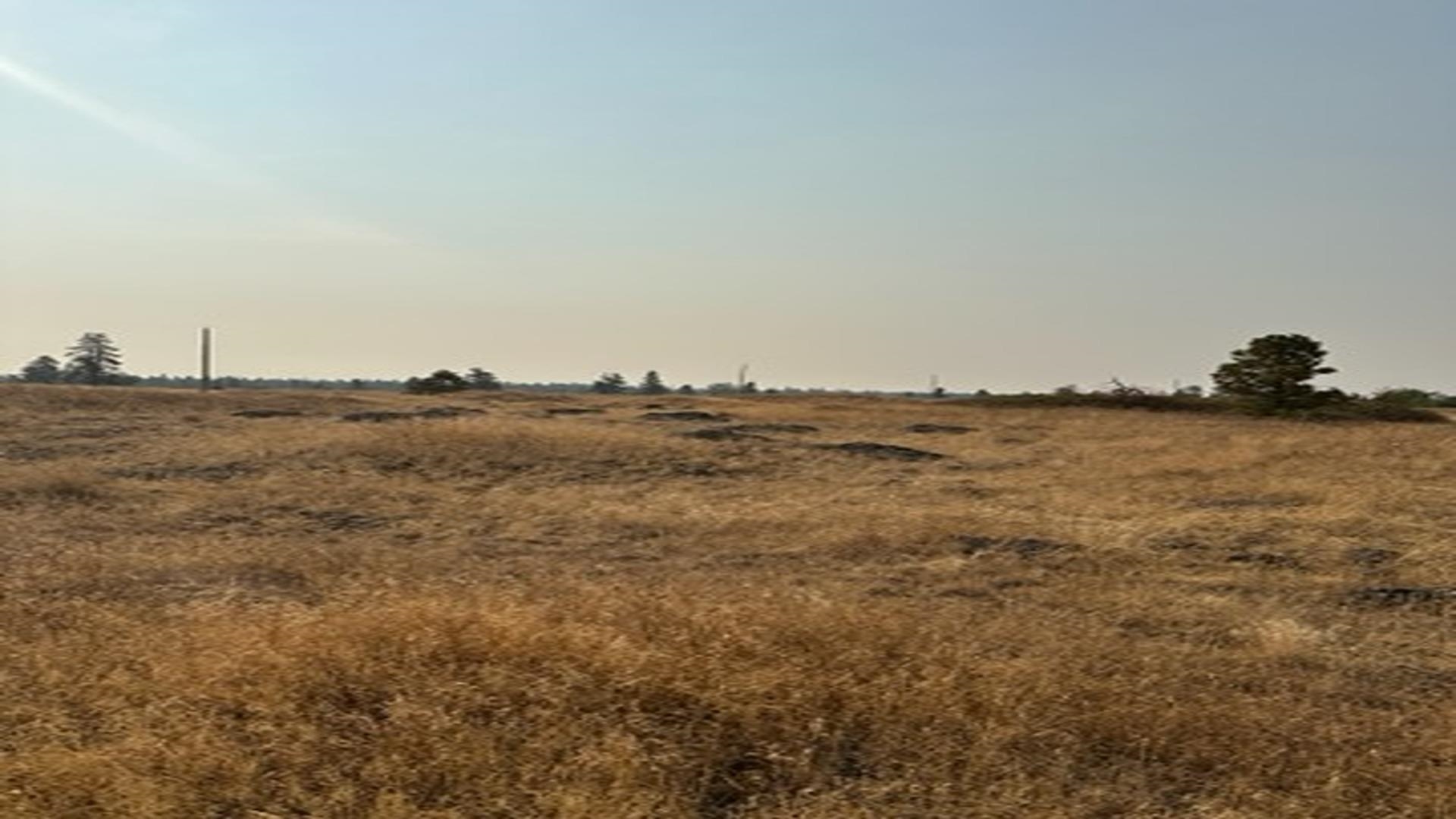 19456 South Harrison Road Edwall, WA 99008 - Photo 11 of 30