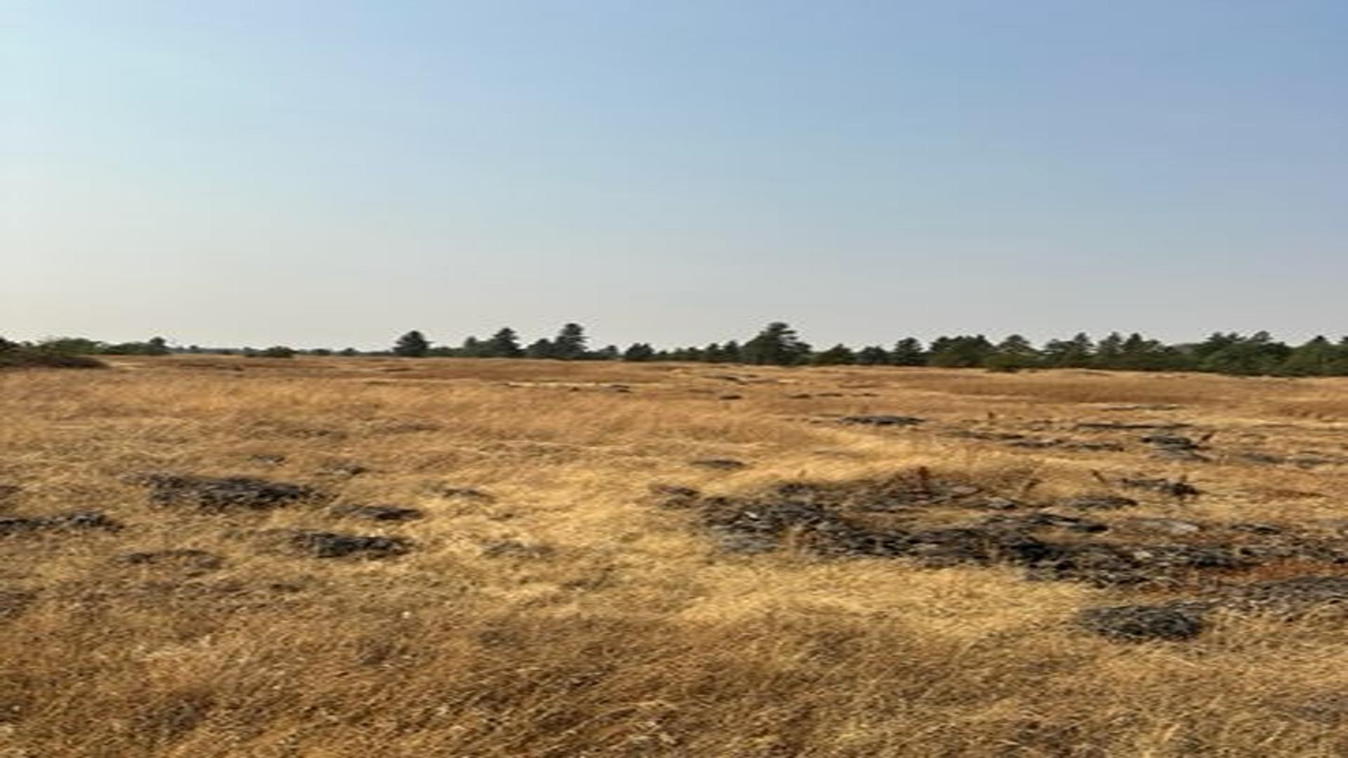 19456 South Harrison Road Edwall, WA 99008 - Photo 12 of 30