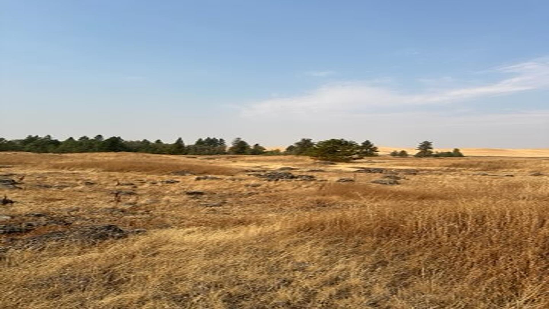 19456 South Harrison Road Edwall, WA 99008 - Photo 13 of 30