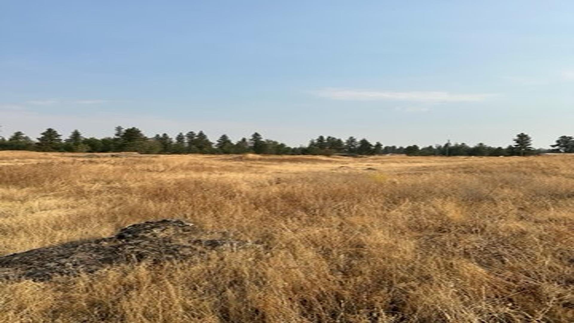 19456 South Harrison Road Edwall, WA 99008 - Photo 14 of 30
