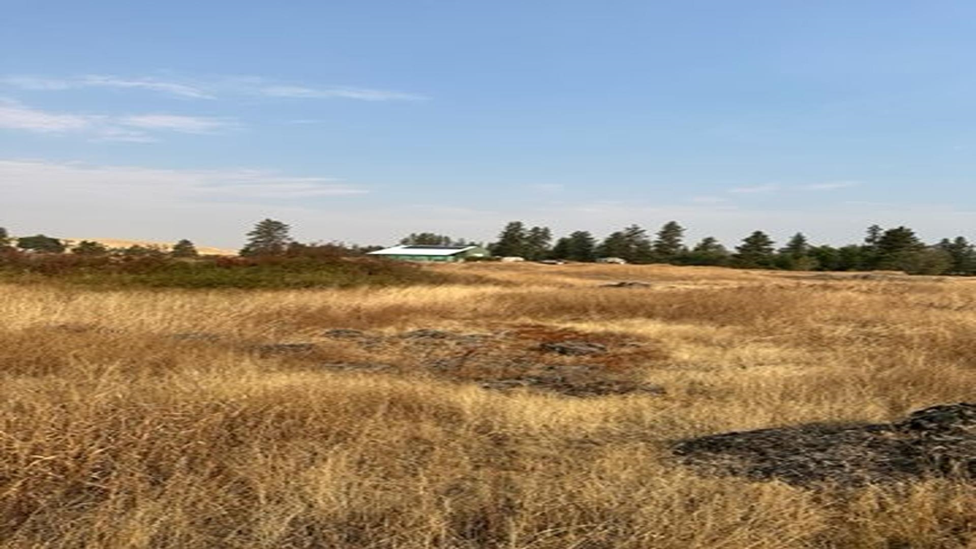 19456 South Harrison Road Edwall, WA 99008 - Photo 16 of 30