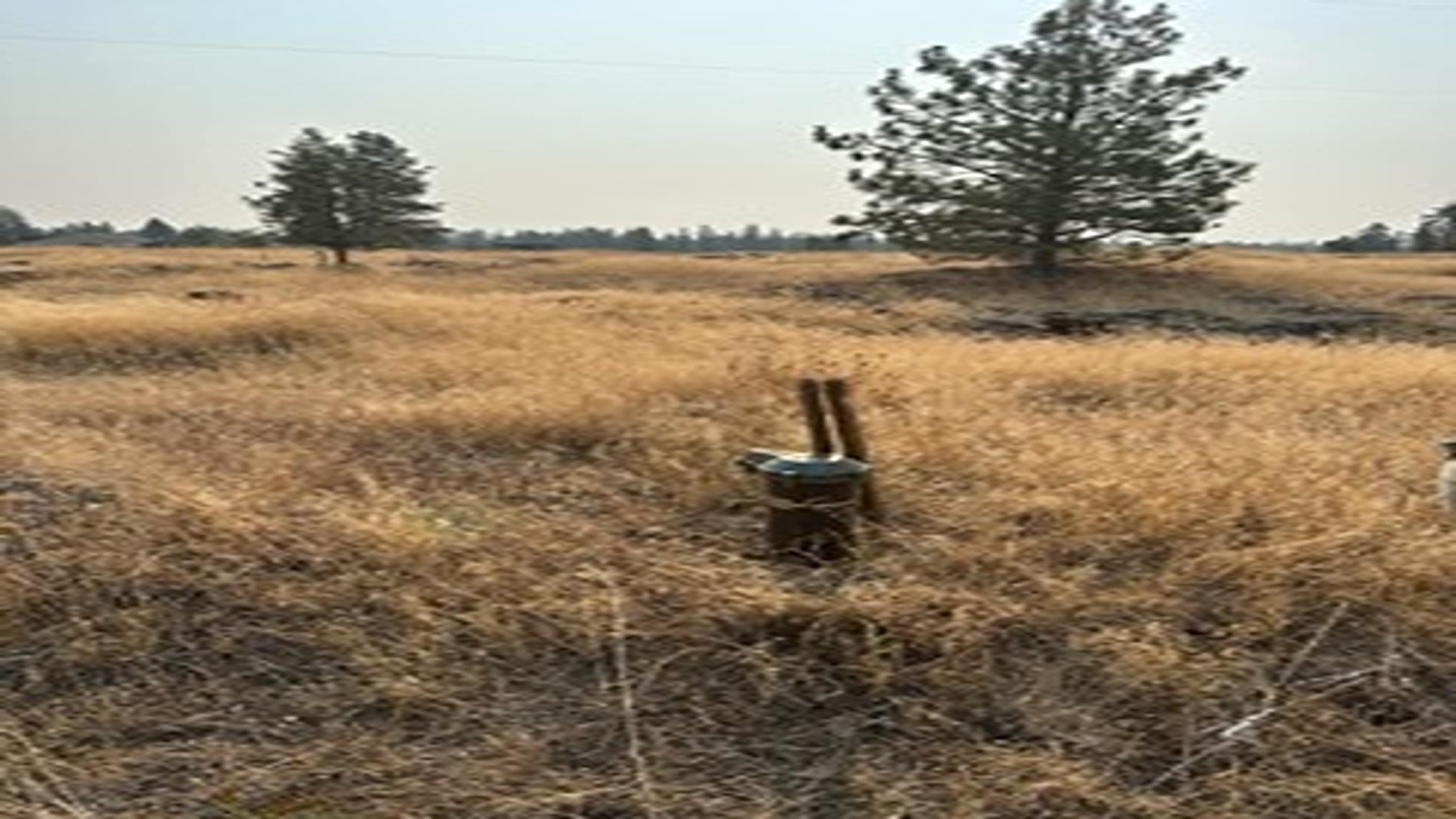 19456 South Harrison Road Edwall, WA 99008 - Photo 17 of 30