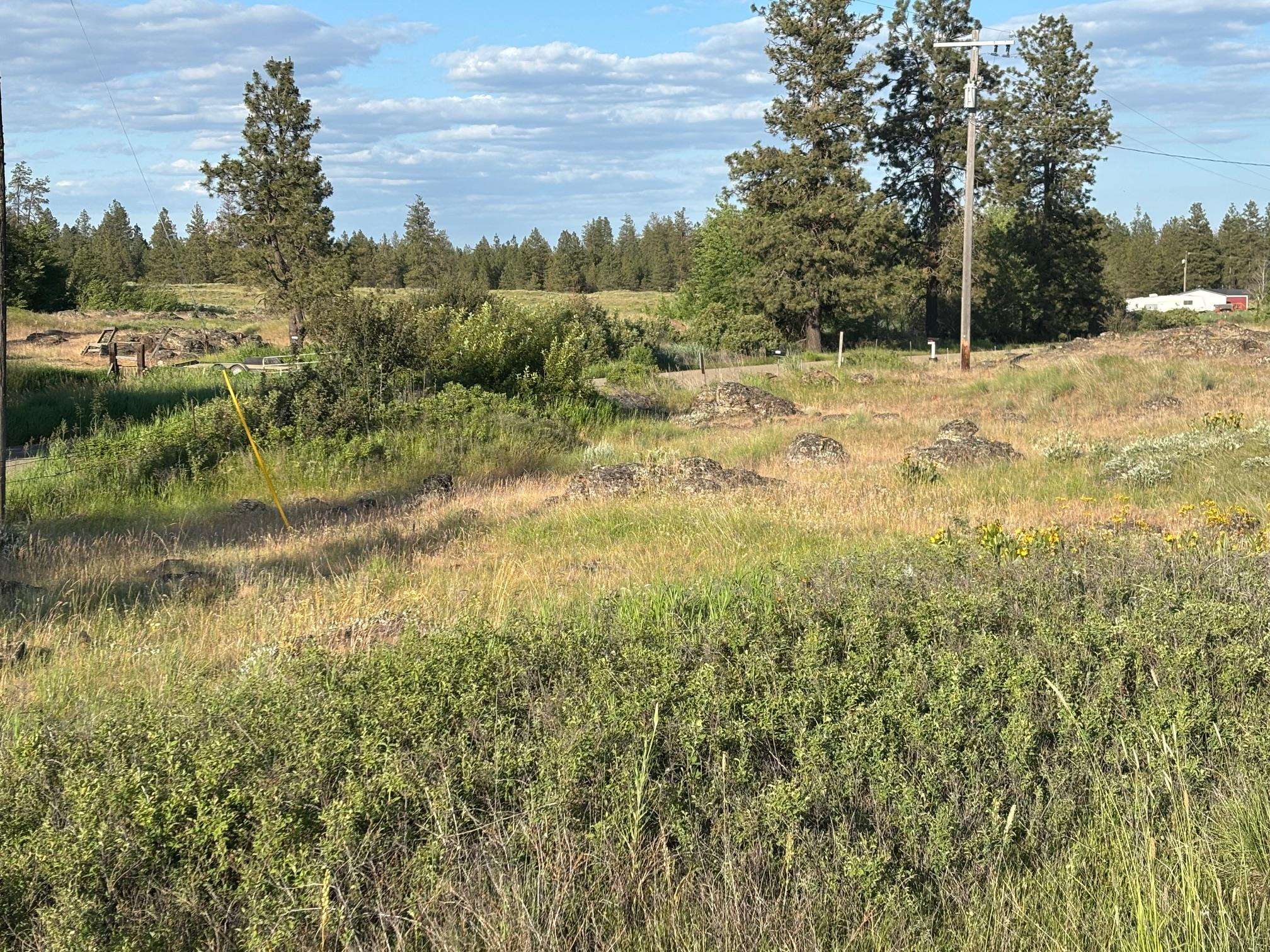 19456 South Harrison Road Edwall, WA 99008 - Photo 19 of 30