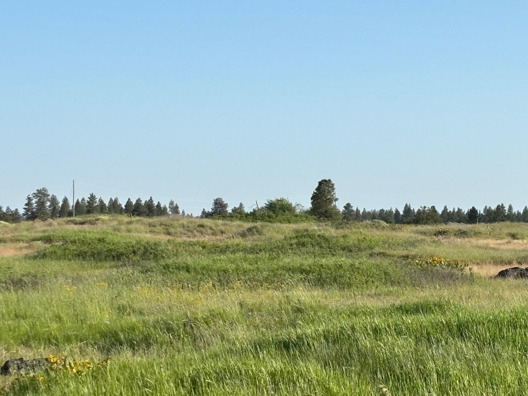 19456 South Harrison Road Edwall, WA 99008 - Photo 20 of 30