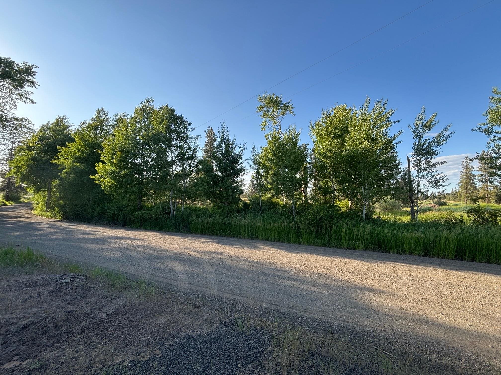 19456 South Harrison Road Edwall, WA 99008 - Photo 21 of 30