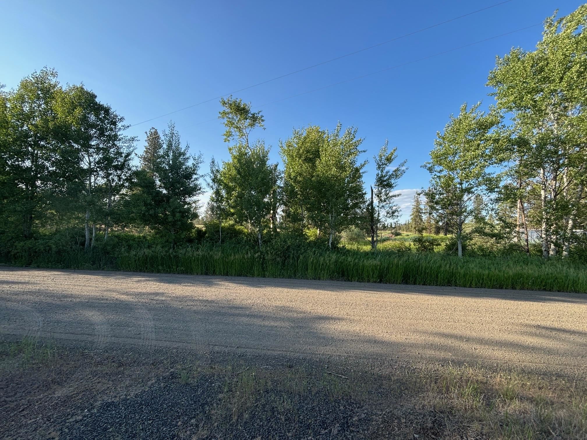 19456 South Harrison Road Edwall, WA 99008 - Photo 22 of 30