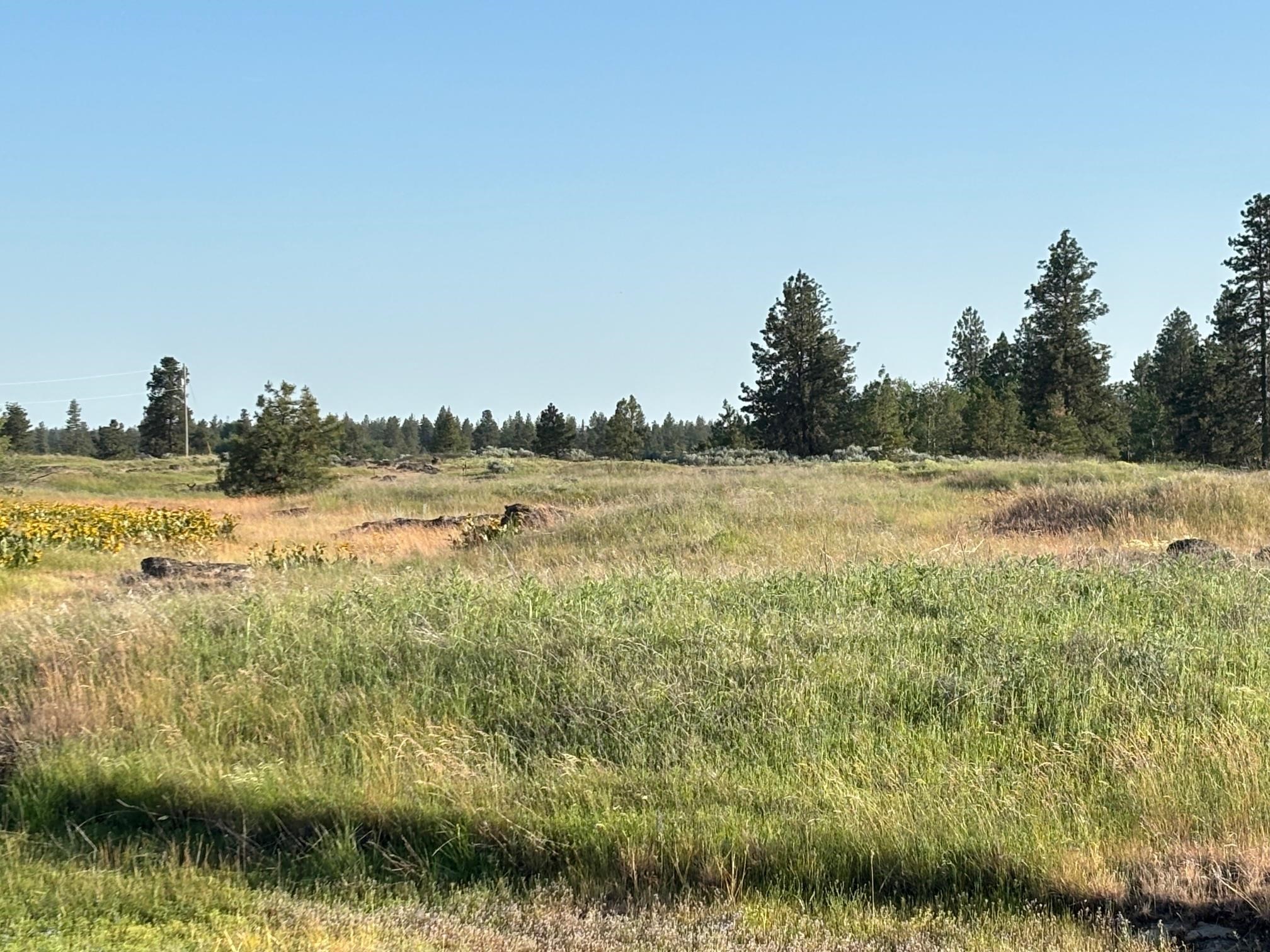 19456 South Harrison Road Edwall, WA 99008 - Photo 25 of 30