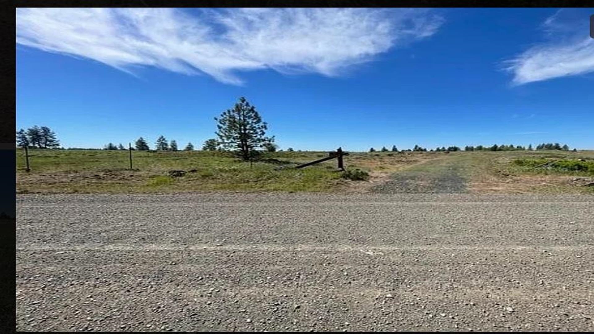 19456 South Harrison Road Edwall, WA 99008 - Photo 3 of 30