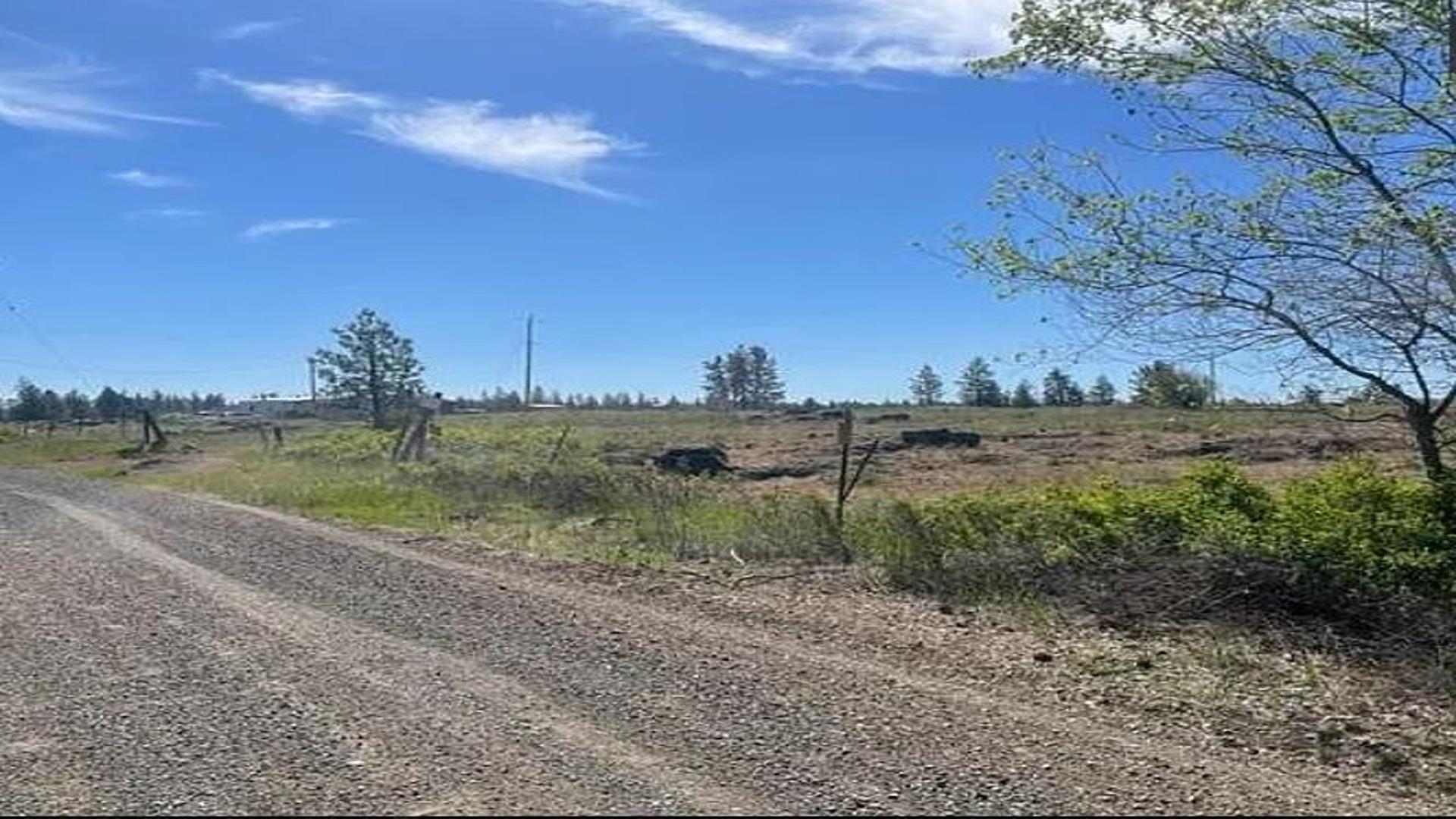 19456 South Harrison Road Edwall, WA 99008 - Photo 4 of 30