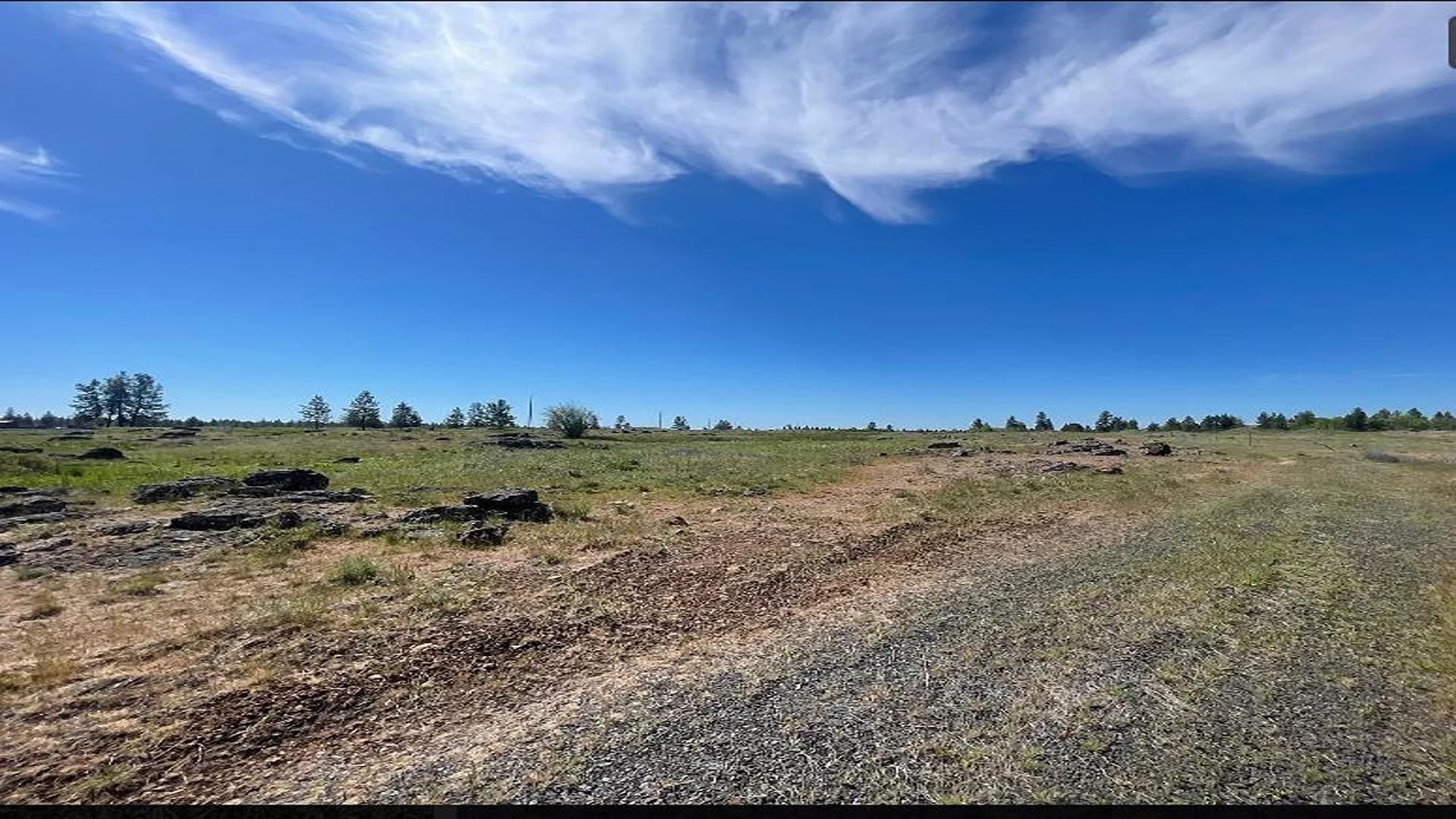 19456 South Harrison Road Edwall, WA 99008 - Photo 5 of 30