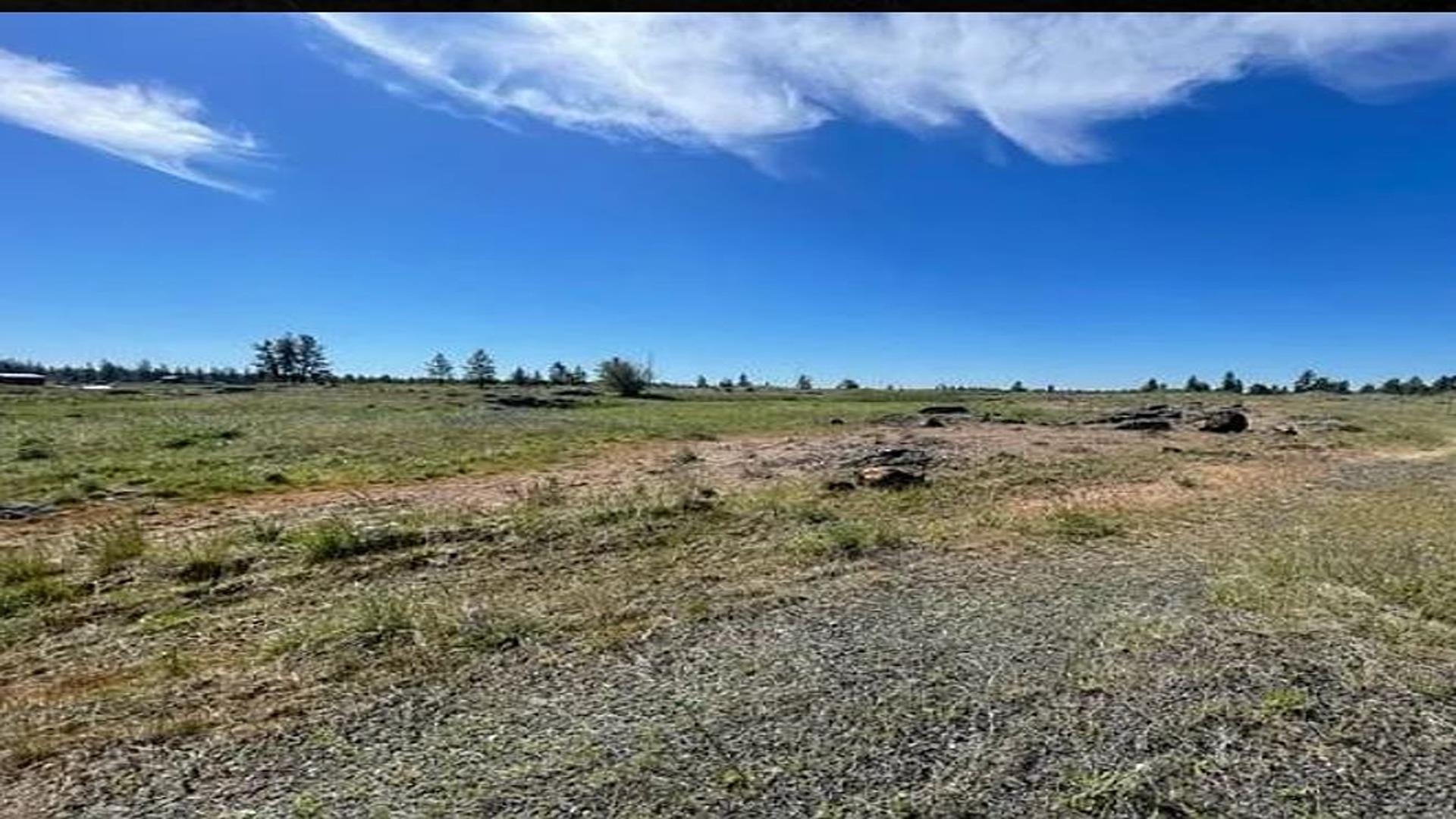 19456 South Harrison Road Edwall, WA 99008 - Photo 6 of 30