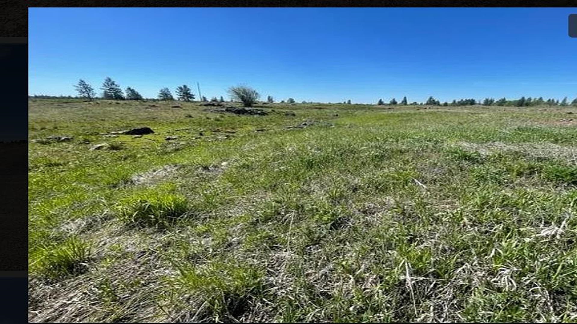 19456 South Harrison Road Edwall, WA 99008 - Photo 7 of 30