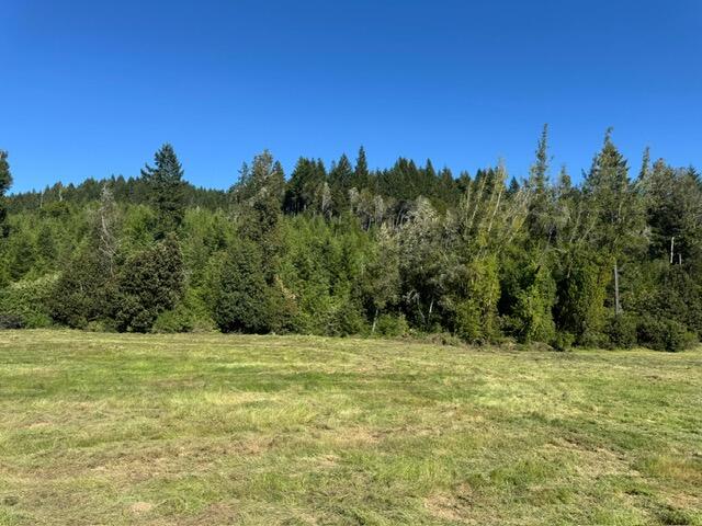 37430 Alderpoint Road Blocksburg, CA 95514 - Photo 10 of 18