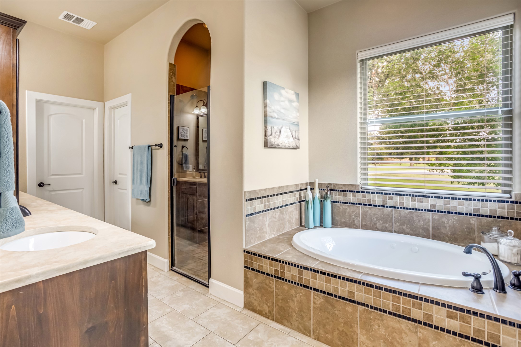 101 Adobe Cove Georgetown, TX 78633 - Photo 12 of 33
