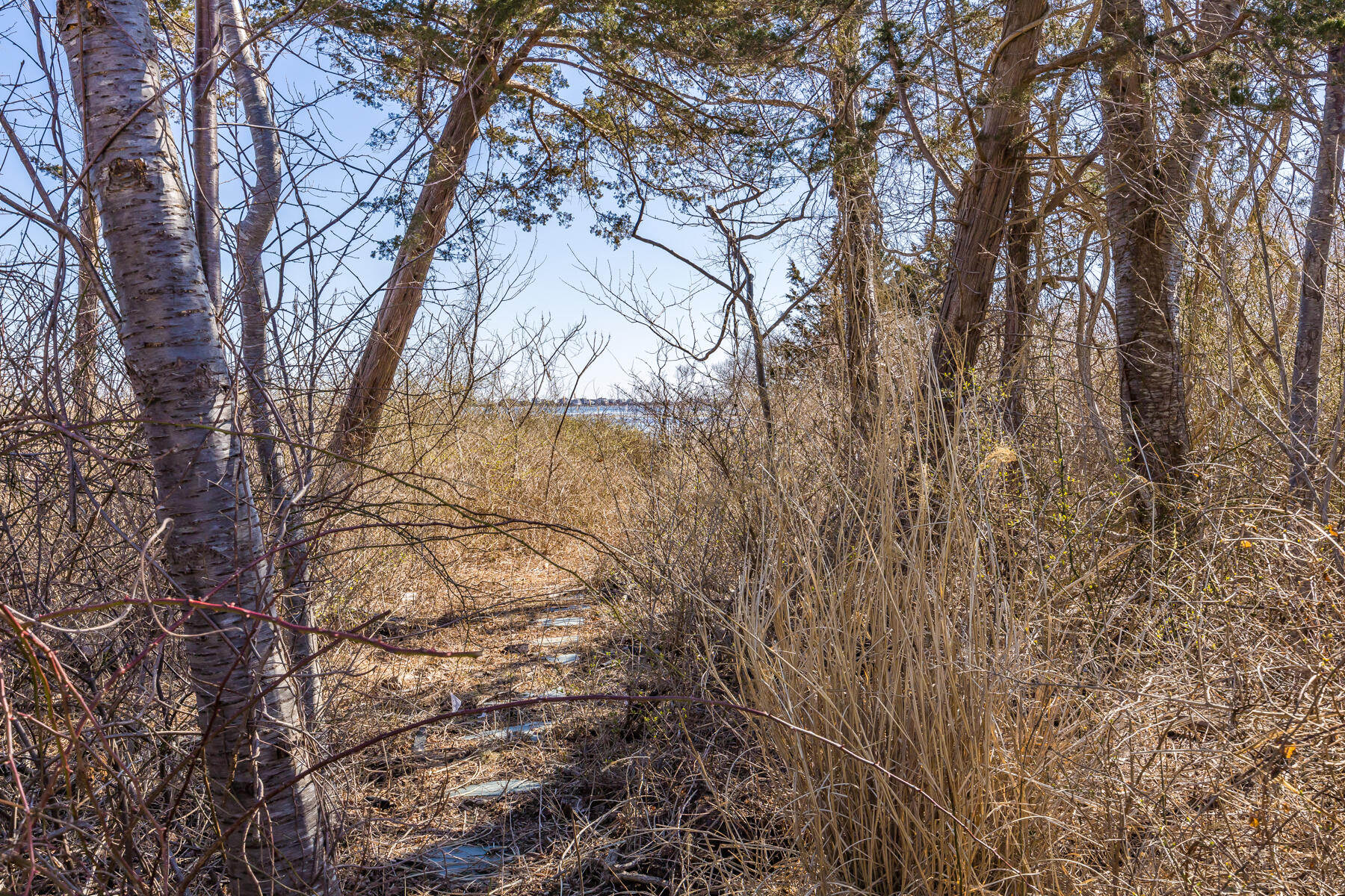 4 Georges Rock Road Sandwich, MA 02563 - Photo 70 of 83 9L4A8817
