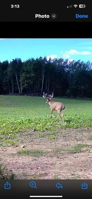 360 12 Mile Road Remus, MI 49340 - Photo 27 of 58 Image 26
