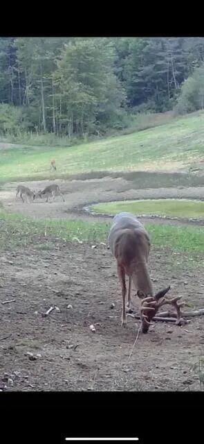 360 12 Mile Road Remus, MI 49340 - Photo 29 of 58 Image 28