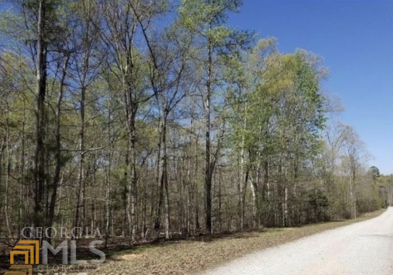 0 Rachell Estates Winston, GA 30187 - Photo 1 of 1 a view of a bunch of trees