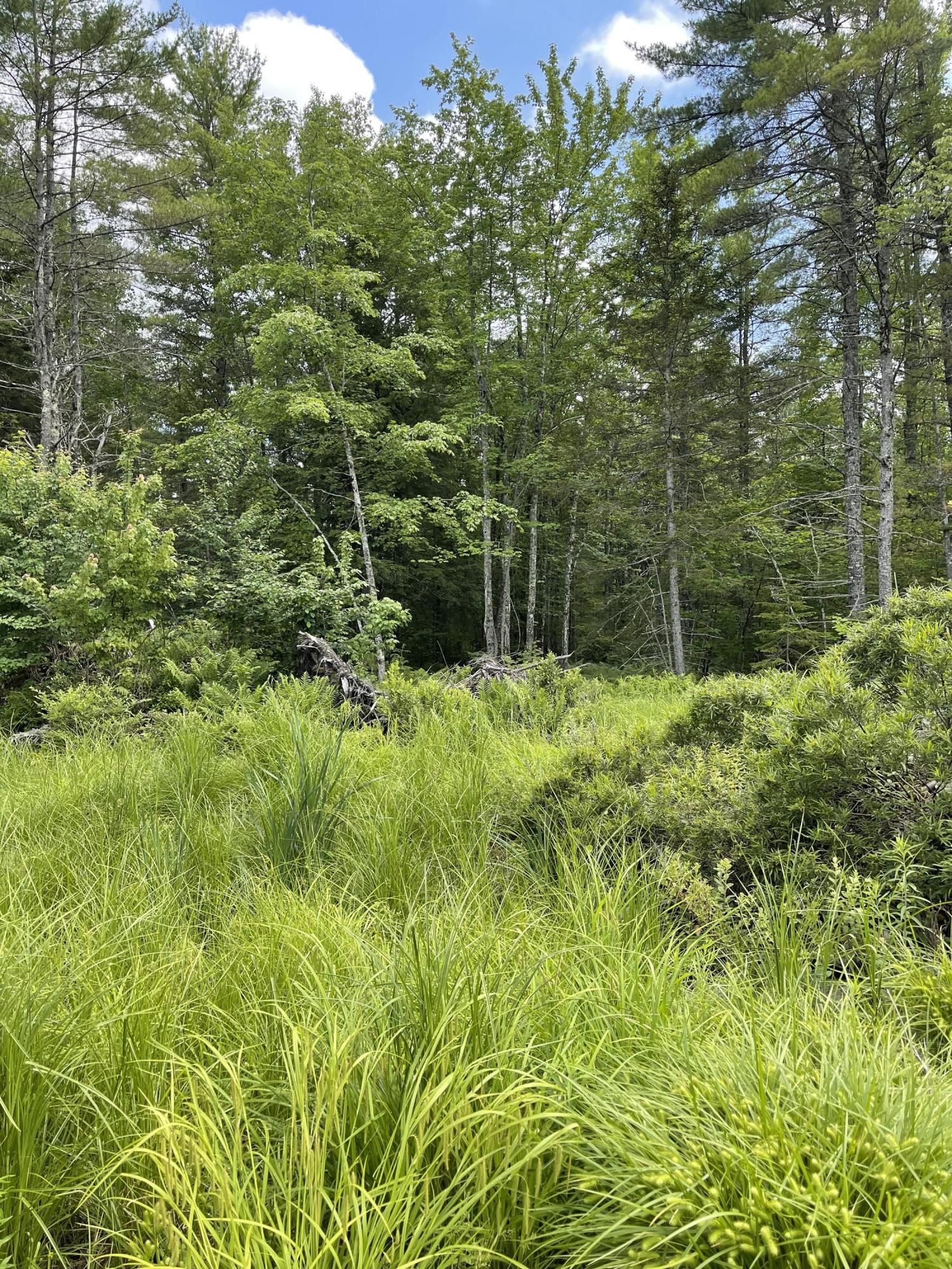 Lot 6-17 Natures Way Steep Falls, ME 04085 - Photo 13 of 20 IMG_1527