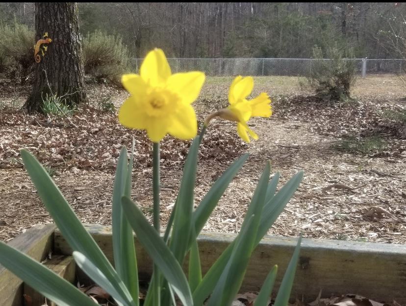 2286 Old Federal Road Ocoee, TN 37361 - Photo 50 of 56
