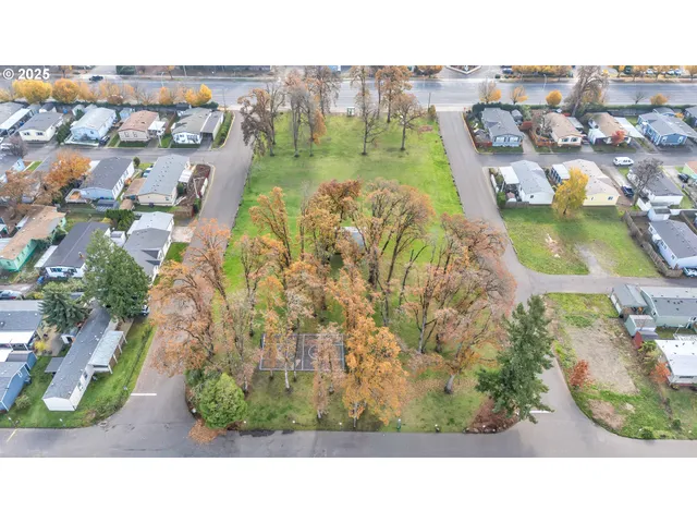 an aerial view of a house with a garden and lake view