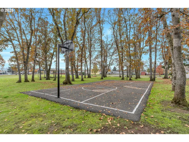 a view of a park with tree s