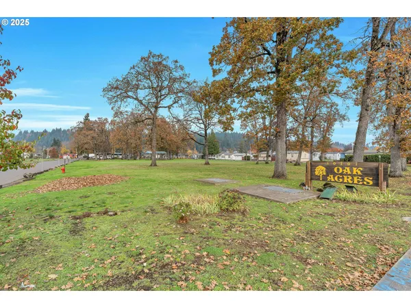 a view of a park with large trees