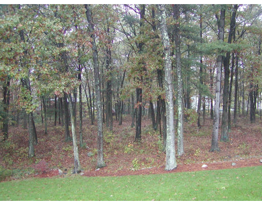 11 Quail Run Road Bellingham, MA 02019 - Photo 22 of 22 a view of a backyard