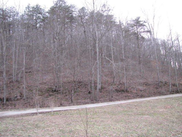 13 Cupp Cemetery Road Manchester, KY 40962 - Photo 25 of 51 Photo 25