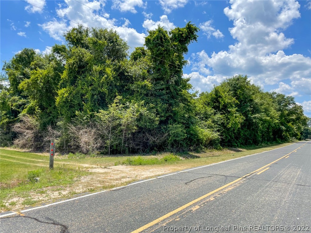 Ludhorne Road Roseboro, NC 28382 - Photo 4 of 5 Gallery Image 4