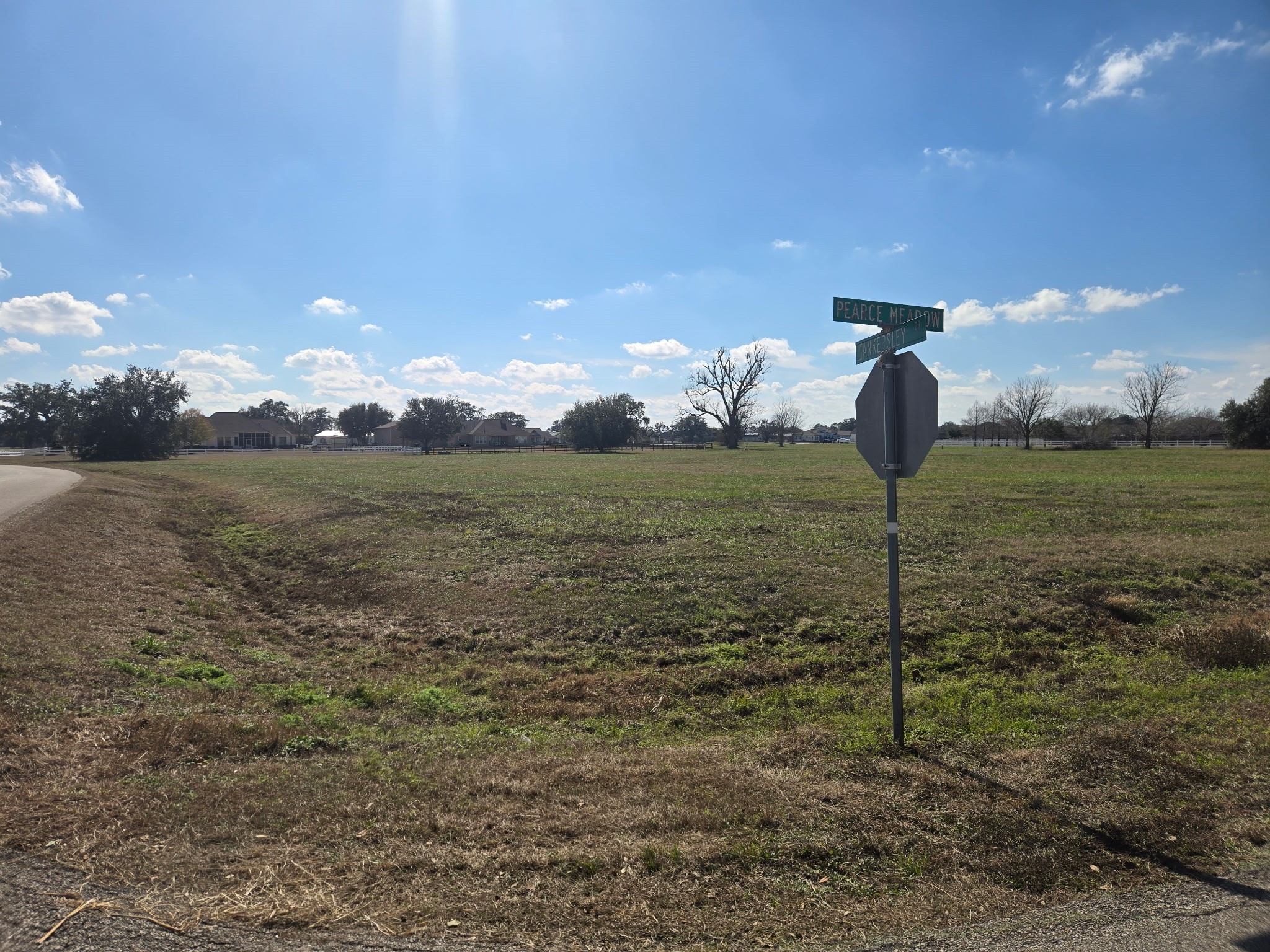 2803 Pearce Meadow Rosharon, TX 77583 - Photo 13 of 13